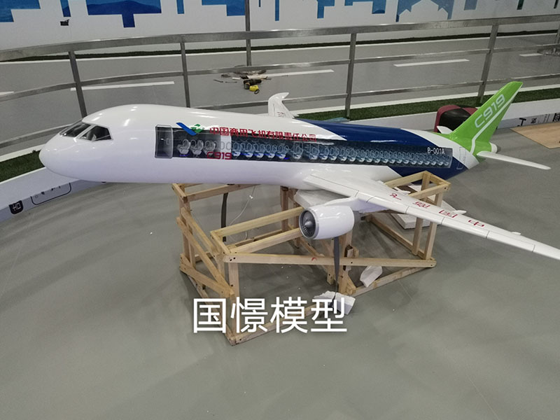 余庆县飞机模型