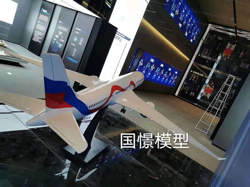 余庆县飞机模型