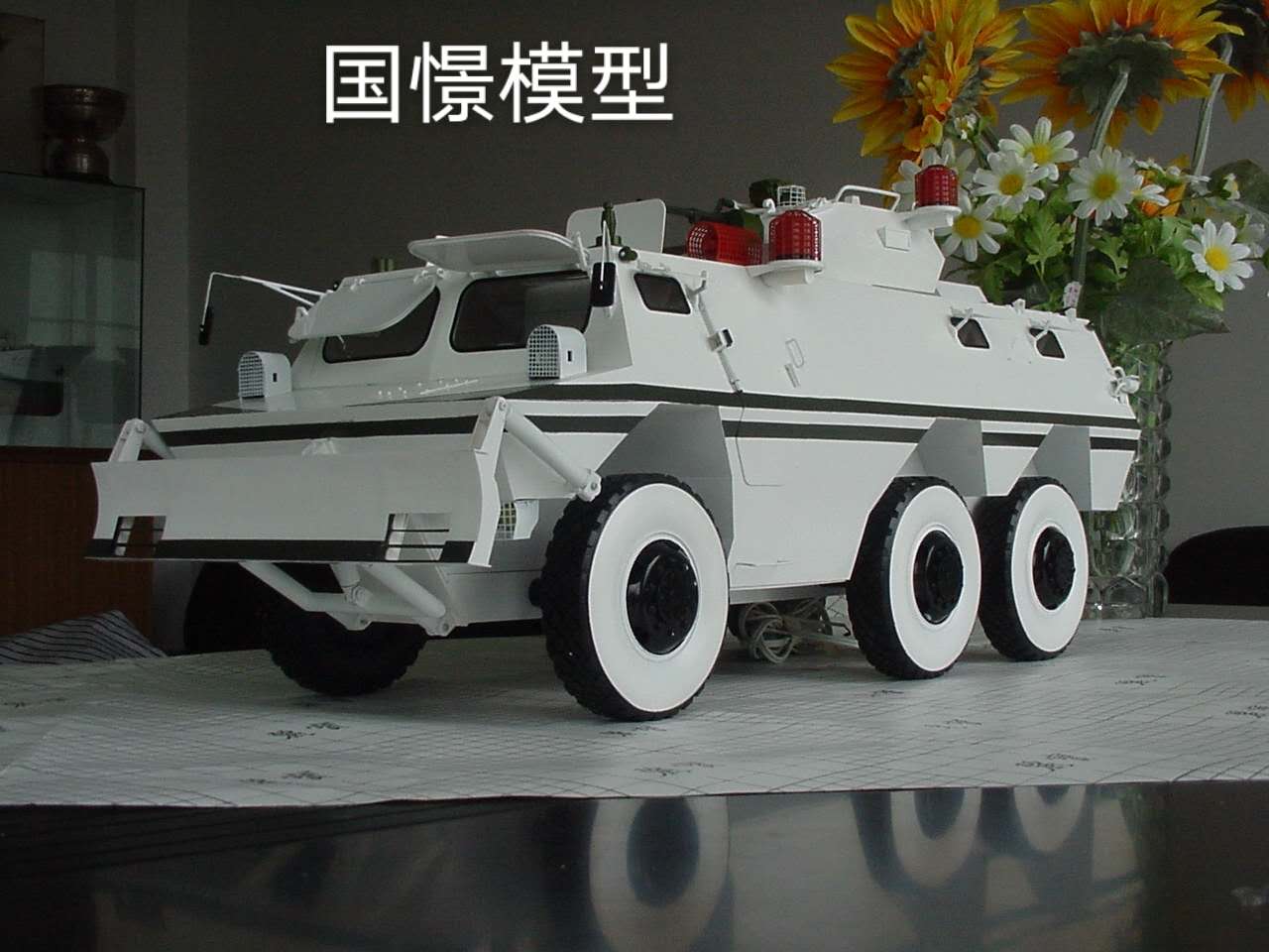 余庆县军事模型
